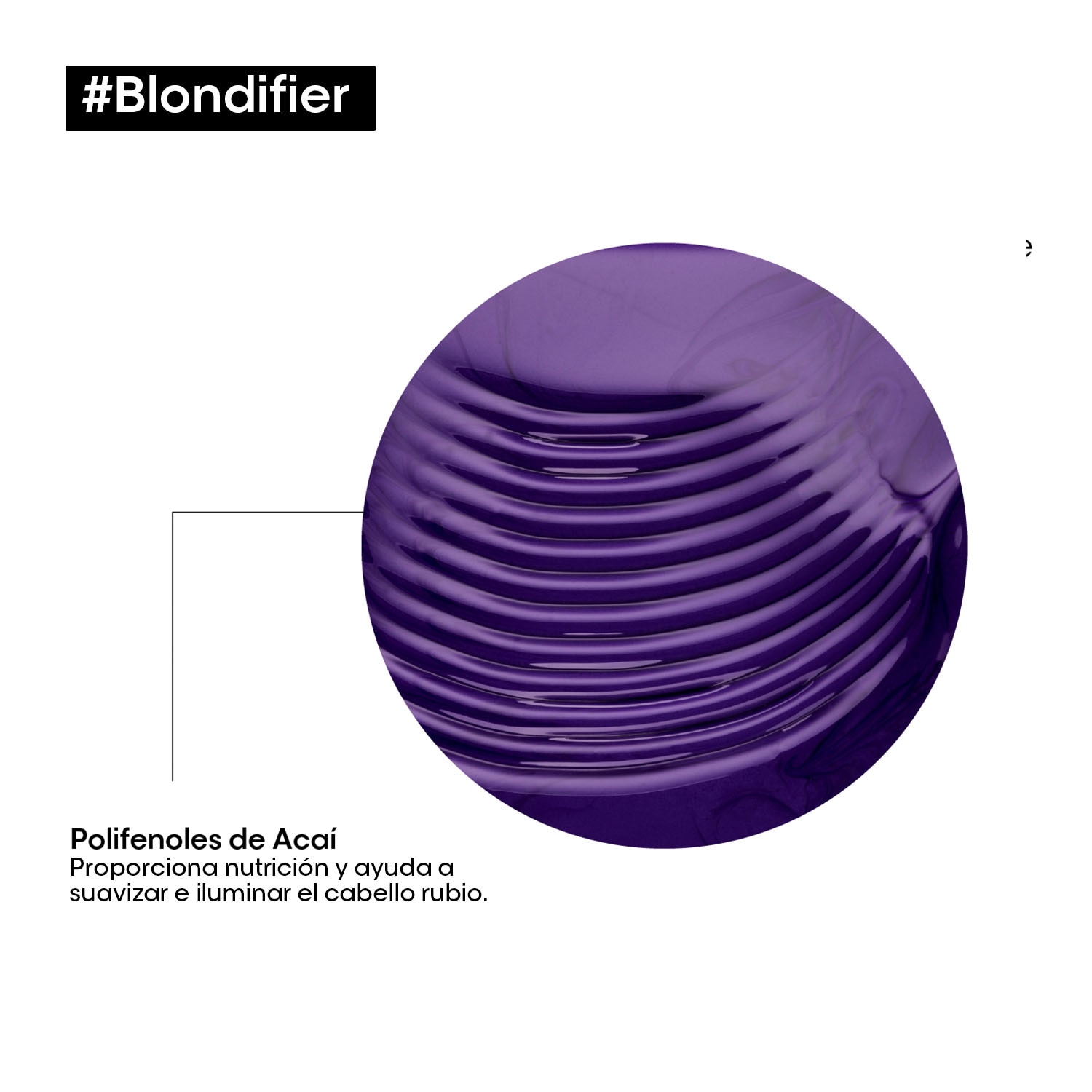 SHAMPOO BLONDIFIER (SHAMPOO PARA CABELLO RUBIO)